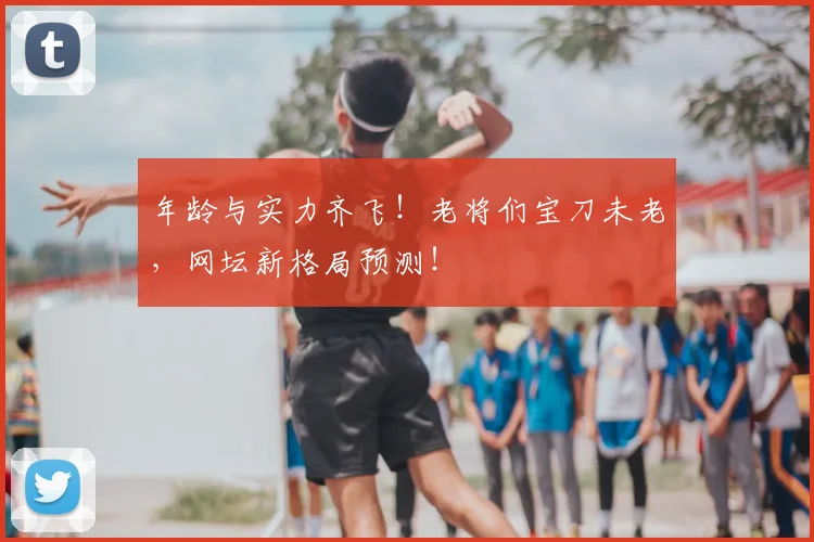年龄与实力齐飞!老将们宝刀未老,网坛新格局预测!