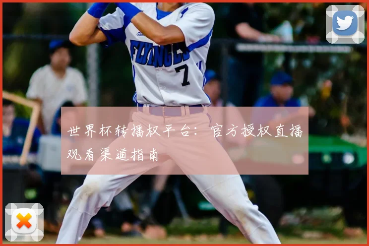 世界杯转播权平台:官方授权直播观看渠道指南