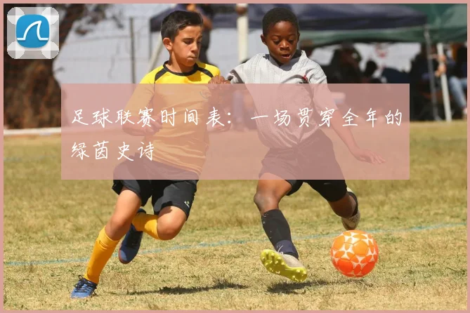 足球联赛时间表:一场贯穿全年的绿茵史诗